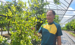 고추·양파 등 관행 작목은 귀농인에게 적합하지 않아요 [귀농귀촌애(愛)]