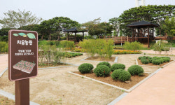 농업으로 마음 치유?… 경기도형 ‘치유농업’ 가속 [밀착취재]