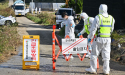 ‘소 럼피스킨병’ 경기 김포 농가서 5번째 확진… 방역 당국 비상