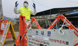 소 럼피스킨병, 일주일 만에 확진 42건