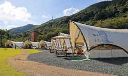 이번 주말 아이·강아지와 캠핑 어때요… 문체부·관광公, 우수 야영장 20곳 선정