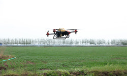 미래 신산업과 융복합… 첨단농업거점 변신 꿈꾼다 [지방기획]