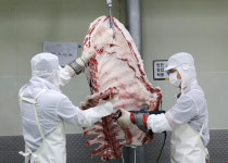뼈 따로 지방 따로 ‘쓱싹쓱싹’… 고기 맛 좌우하는 칼잡이들 [밀착취재]