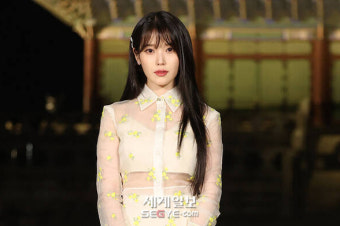 아이유, 악의적 표절 고발인 특정…손해배상 청구 소송