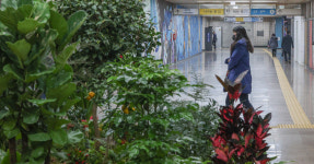 [포토] 지하철역에서 만나는 서울 아래 숲길