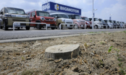 환경정비 명목 가로수 벌채 지시한 일본 직원 체포