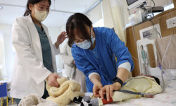 ‘벼랑끝’ 중증소아환자·가족의 안식처… “숨 쉴 틈 찾았죠” [심층기획-서울대병원 ‘도토리하우스’ 100일]