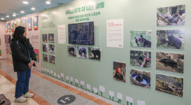 [포토] 동물복지특별전 상처에서 치유로