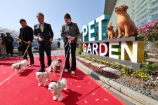 인천공항, 애견호텔링 위탁서비스 및 펫가든 오픈 [한강로 사진관]