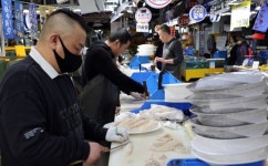 광어회 공짜로 준다길래 인천 소래포구 가봤더니 ‘조기소진’