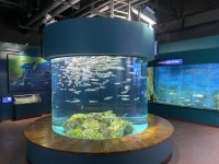 “민물고기 여기 다 있네”… 경북 민물고기생태체험관 2일 재개관