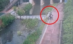 [영상] 안양 삼성천 명물 ‘오리 가족’ 돌팔매질 당해…“범인은 10대로 보이는 남학생”