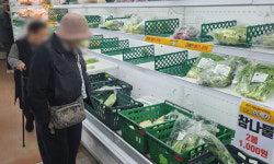 감자 한알·조각 양배추가 100원… 이 가격 사실인가요? [수민이가 궁금해요]