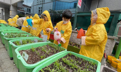 쨍쨍한 햇살서 얻는 에너지에 농가 부수입 ‘쏠쏠’ [농어촌이 미래다-그린 라이프]
