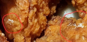 대형마트의 배신…치킨에서 파리·파리알 나와