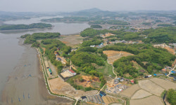 김포 대곶면 신안리, 유물 무더기 발굴… 신석기시대 생활상 엿본다