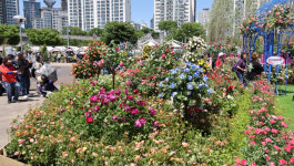 2024 서울국제정원박람회 개막 [한강로 사진관]