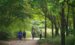등산로·둘레길 끊김 없게… “사유지 사들여 정비합니다” [심층기획]