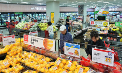 신선식품 특화·체류형 매장… 대형마트, 경쟁력 강화 ‘올인