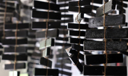 소나무향 품고 묵묵히… 인고의 시간이 깊어갑니다 [밀착취재]