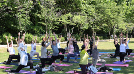 [포토] 용산가족공원서 파크힐링요가 진행하는 요기 다니엘