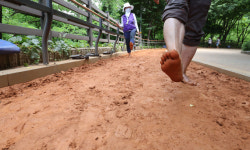 [포토] 천연동 황톳길 맨발로 산책하는 주민들