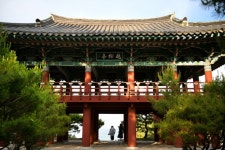 바다·솔숲·계곡 모두 즐기는 울진 여름여행 [최현태 기자의 여행홀릭]