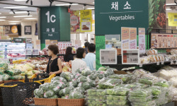 폭염·장마에 농산물값 들썩… 대형마트 ‘신선식품 확보’ 비상
