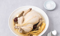 개고기 이어 ‘삼계’ 금지 운동?… 초복 달구는 ‘닭고기 식용’ 논쟁 [뉴스+]