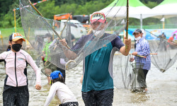 2024년 영덕 황금은어축제, 8월2~4일까지 오십천 둔치서 개최