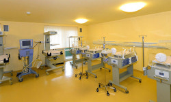 “항문·발가락 없는 아이 낳는 것이 일상”…북한서 퍼지는 ‘유령병’