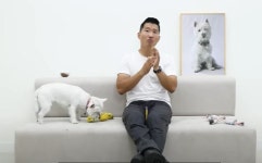 “개통령, 돌아와줘서 고마워요”…강형욱 유튜브 재개에 응원 봇물