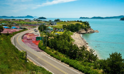 가을 풍광 코스… 거금해안도로·섬진강변·조금나루·흑산도 추천