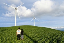 하얀 메밀꽃 따라 평창에 서둘러 가을 오다 [최현태 기자의 여행홀릭]