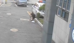 도와주세요 약봉지 든 채 쓰러진 시민…경찰의 하임리히법 덕분에 생존