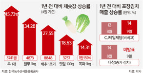 농산물 가격 폭등에 소상공인 우는데, 식품기업은 웃는다