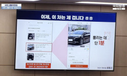 국감서 장관 관용차가 ‘당근’ 매물로 올라온 이유는?