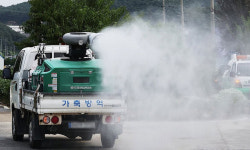 충남 당진 한우 사육 농장서 럼피스킨병 발생