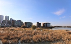 천안성성호수공원서 13∼16일까지 문화도시 페스타 개최