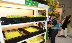 산업단지에 실내 수직농장 입주한다