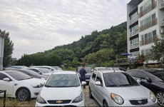 외국인 불법체류자에 대포차 500여대 판매 유통 조직 검거