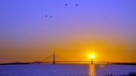 ‘늦가을, 바람, 하늘, 기러기, 낙조, 별…’ 자세히 보면 더 아름다운 새만금