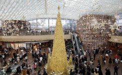[포토] 코엑스몰 별마당 도서관 ‘골드 포레스트(Gold Forest·금빛 숲)’ 크리스마스 트리
