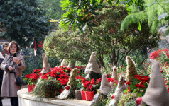 [포토] 서울식물원 ‘윈터 페스티벌’