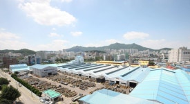 가온전선, 사상 최대 매출 경신…글로벌 도약 가속화