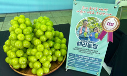 벌꿀 참외·솔잎 달걀… 농산물 고급화로 ‘6차 산업’ 드라이브 [지방기획]