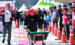 “동해선 타고 대게 맛보러 영덕·울진으로 오이소” [지방자치 투데이]