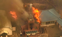 산불 피해 수천억원에 달하는데 실화자 처벌은 여전히 ‘솜방망이’…처벌 수위 높여야