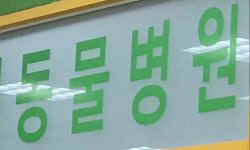 동물병원, 인체용 의약품 도매상에서 직접 구매 가능해진다