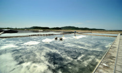 美, 신안군 ‘태평염전’ 소금 수입 차단…“강제노동 지표 확인”